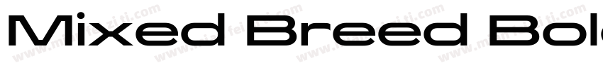 Mixed Breed Bold字体转换